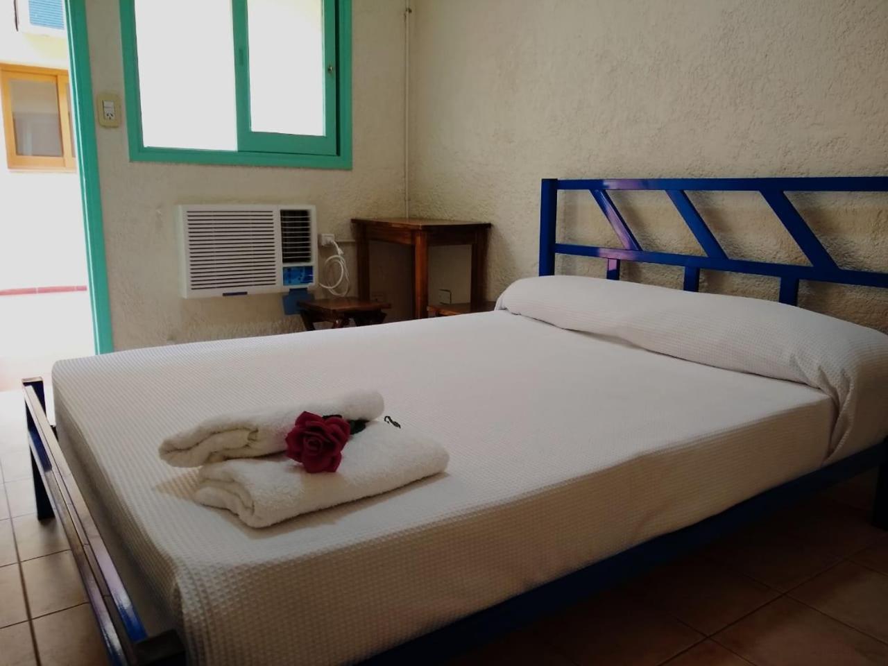 Hostel Black Sheep International