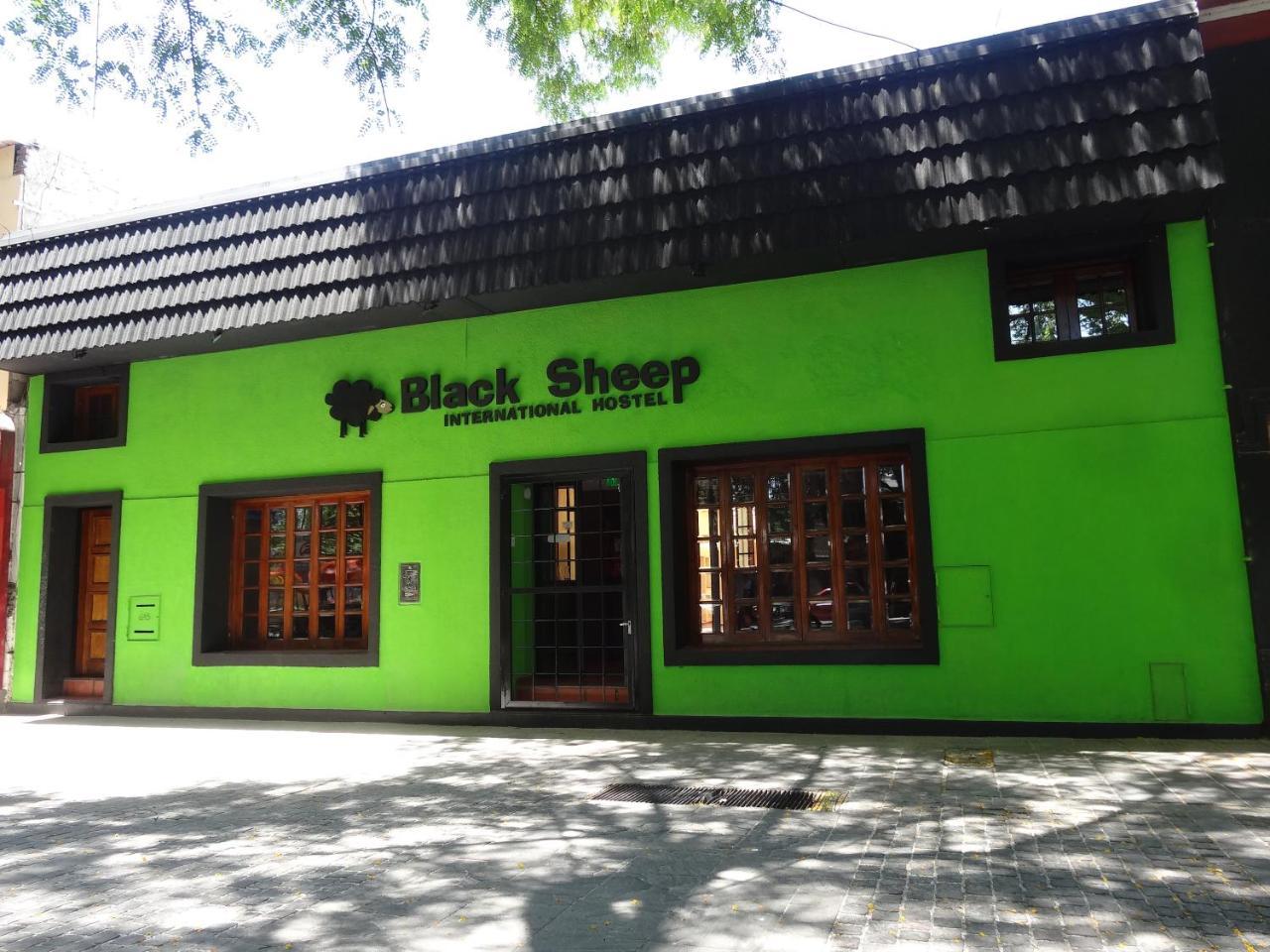 Black Sheep International