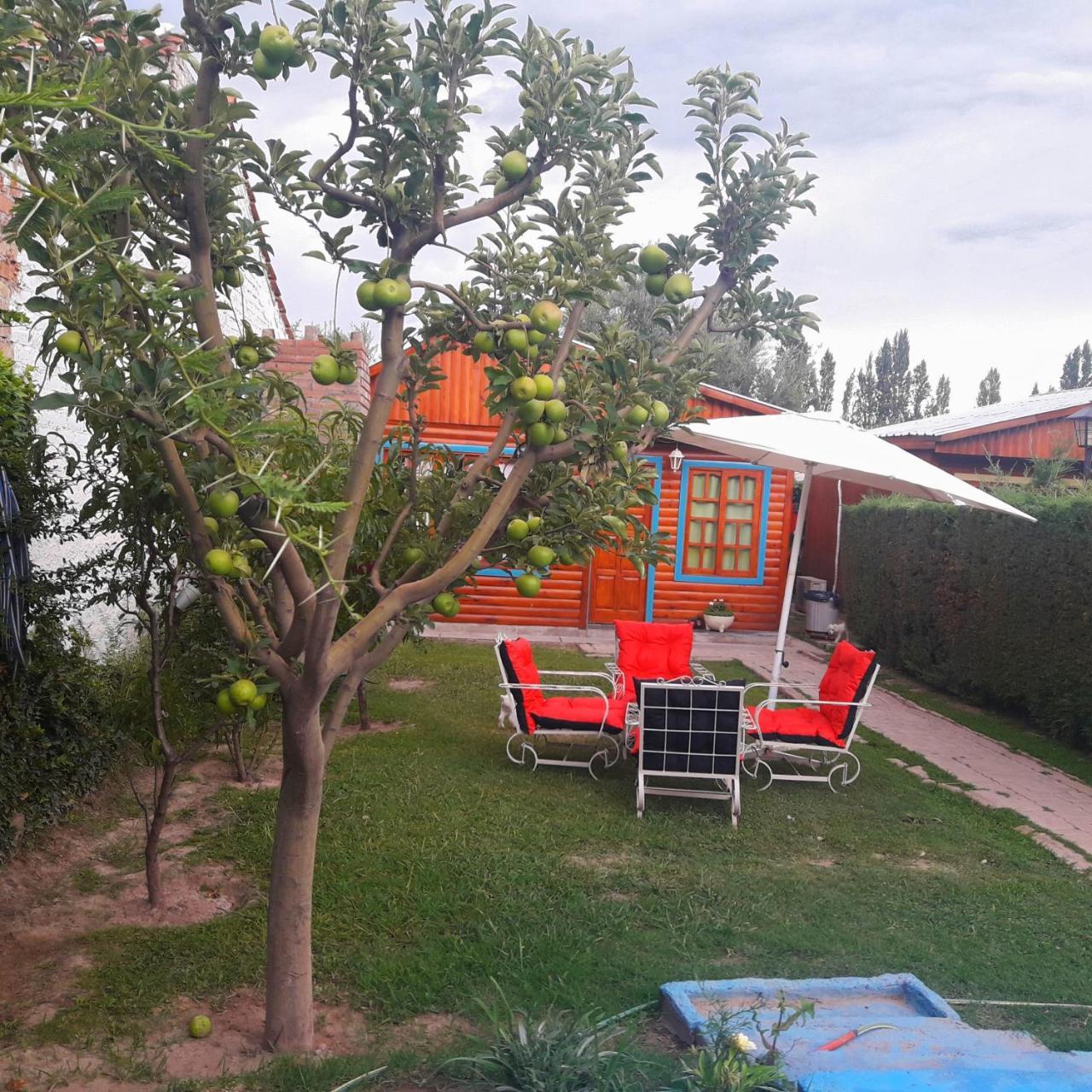 Cabanas El Maiten Vistalba * Mendoza