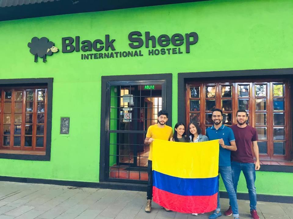 Black Sheep International Hostel