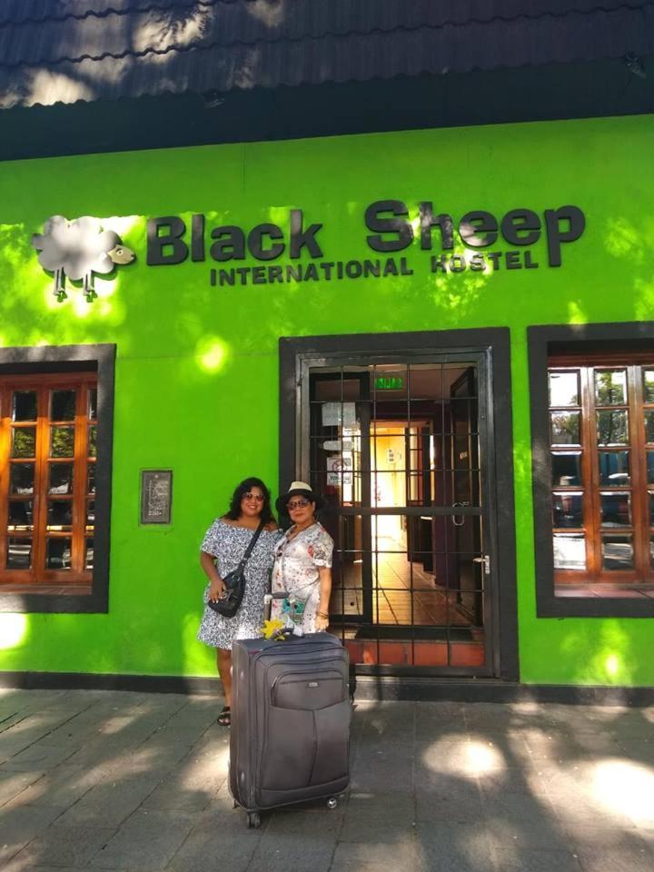 Hostel Black Sheep International