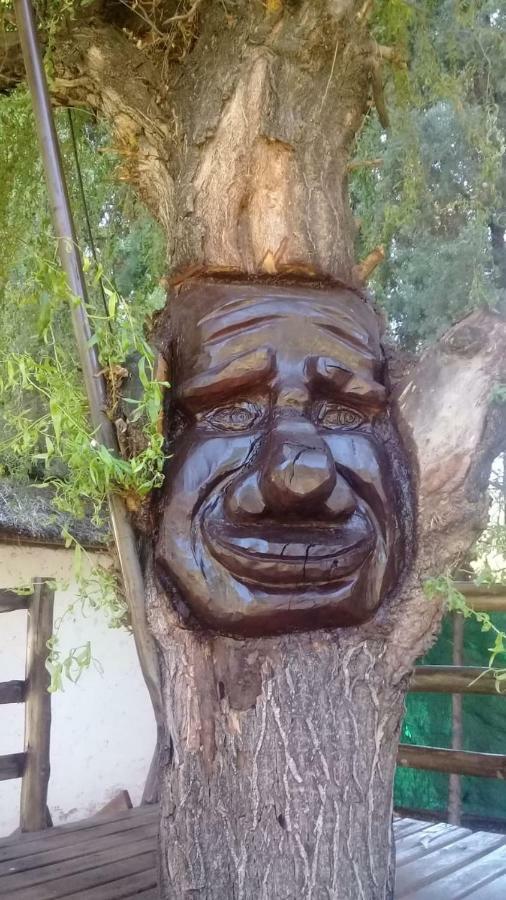 Cabanas Alto Bermejo *