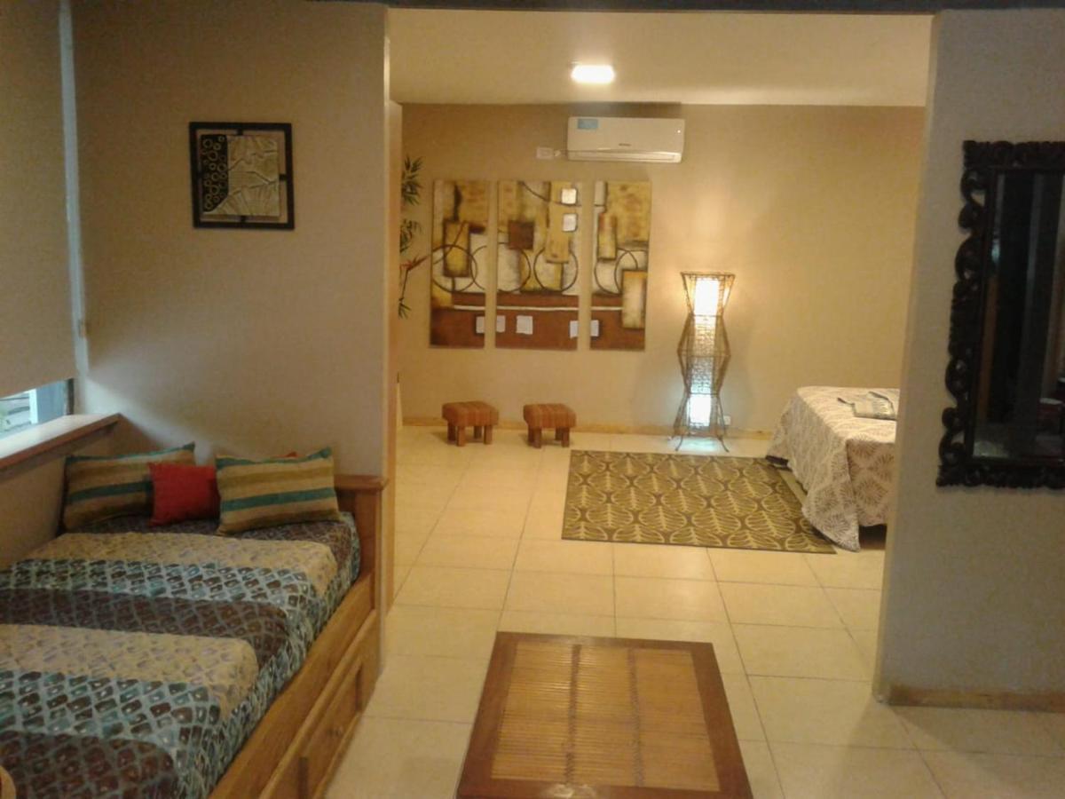 Ubicadisimo Dto. Loft Con Terraza Privada Apartamento Mendoza