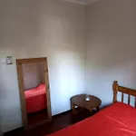 Habitacion En Departamento Zen Ciudad De Mendoza