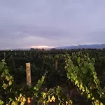 Mzacentro