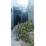 Departamento Olympia Village - Mendoza