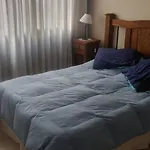 Mendoza Centro 1 dormitorio