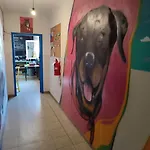 Rafa House