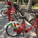 Cerca De Todo Amplio
