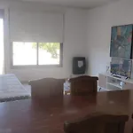 P3 Estrategico Departamento Para Conocer Mendoza