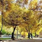 Mendoza Es Montana, Paz Y Malbec