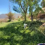 Cabana De Troncos En Colonia Suiza