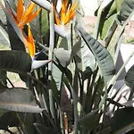 Un jardín en la ciudad