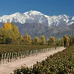Apart Mendoza Centrico