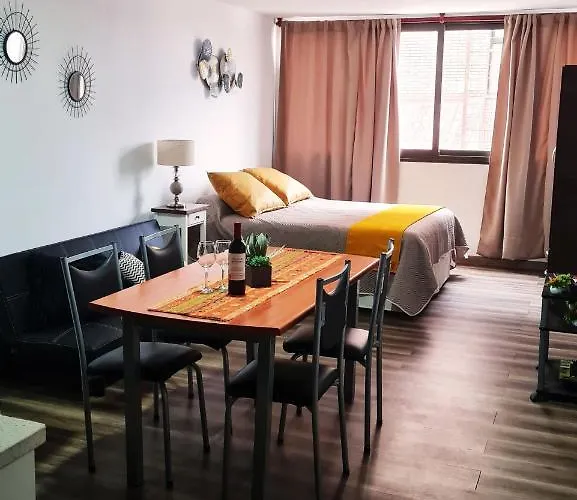 Departamento Monoambiente, A Metros De Peatonal Sarmiento