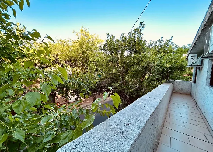 San Lorenzo