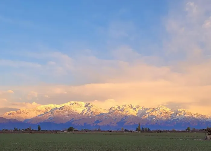 Mendoza Es Montana, Paz Y Malbec