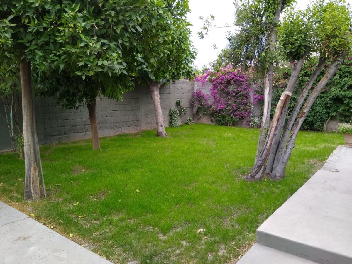 Casa Clarice