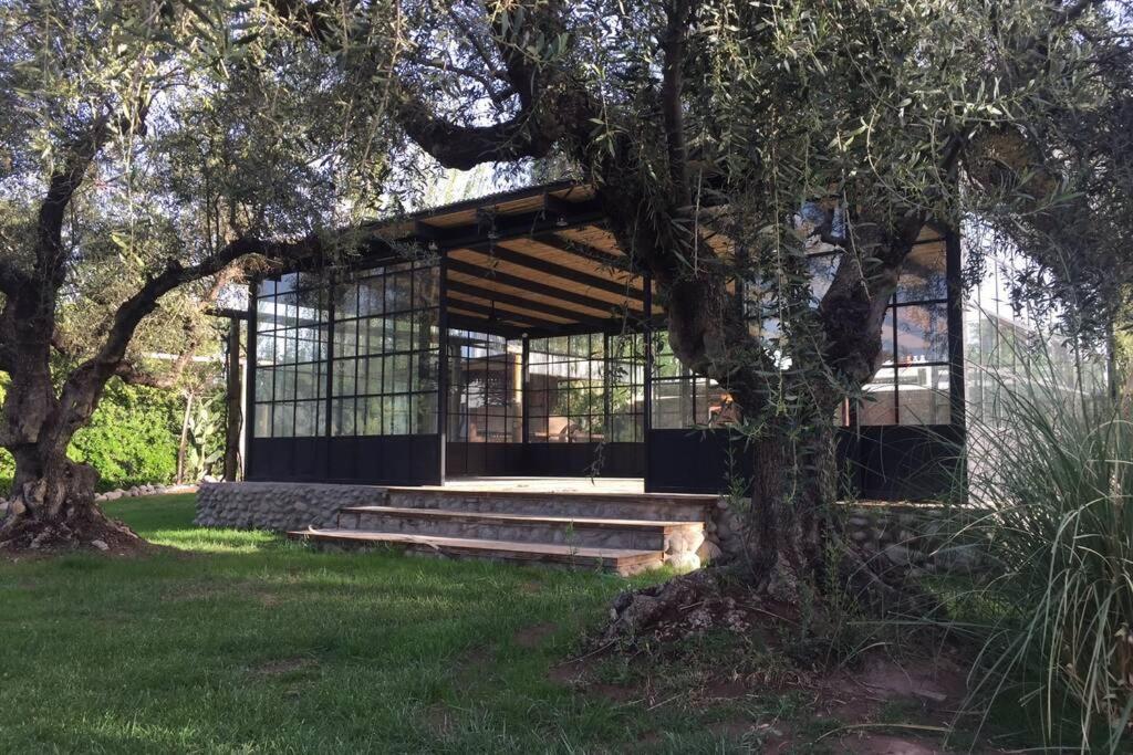 Casona De Finca Viñedo Bodega Garage