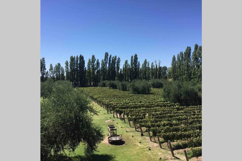 Сasa de vacaciones Casona De Finca Viñedo Bodega Garage *