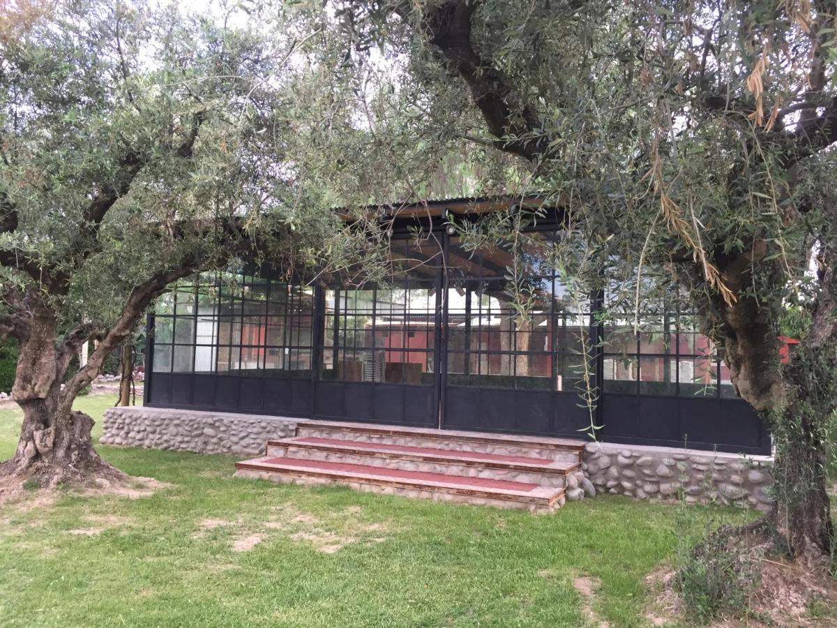 Casona De Finca Viñedo Bodega Garage Сasa de vacaciones Mendoza