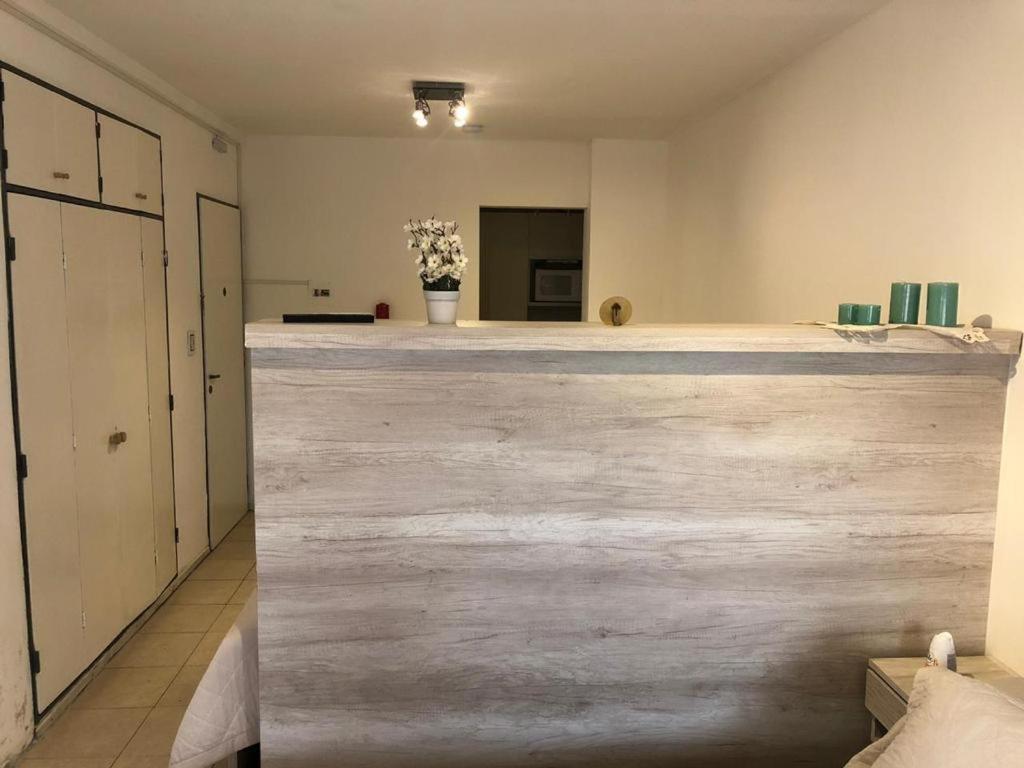 Ideal Departamento En La Mejor Zona De Mendoza