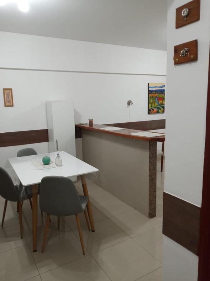 Apartamento Departamento Pleno Centro De Mendoza, Argentina *