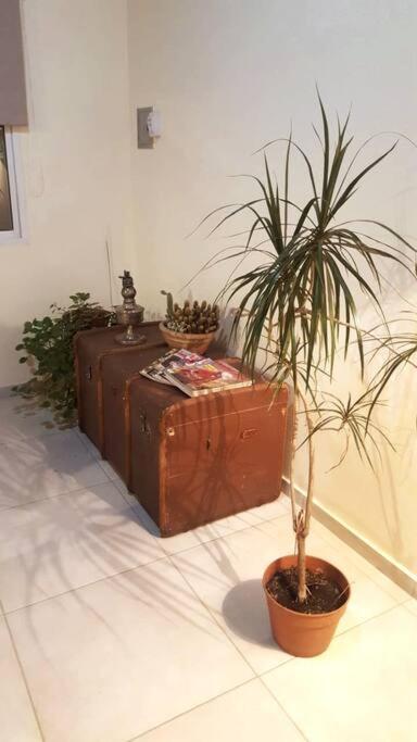 Apartment Departamento Parque Gral. San Martin Y Aristides Mendoza