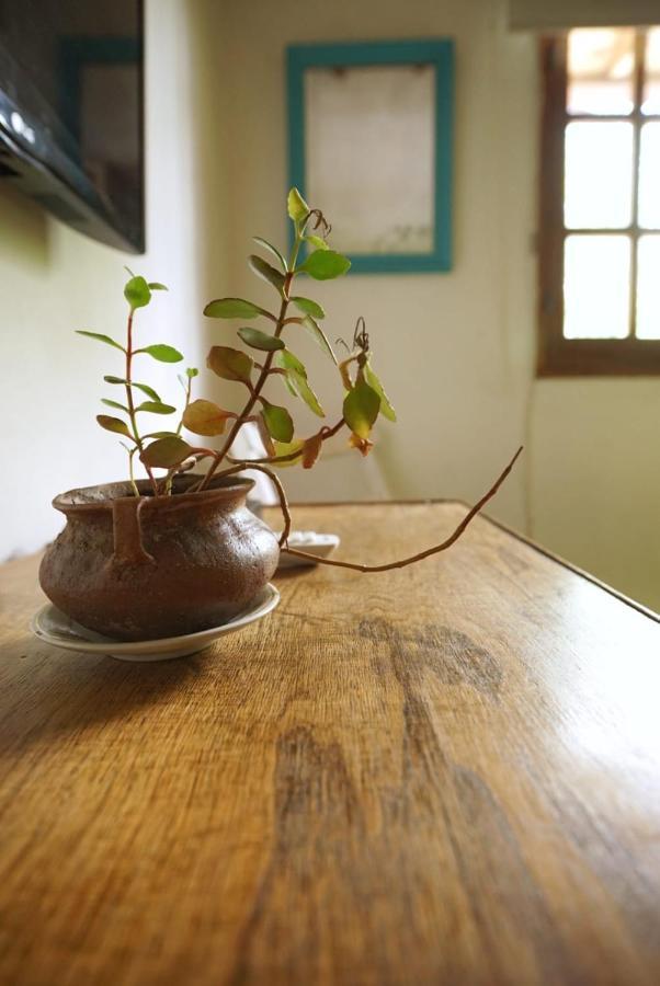 Homestay The Blue Mendoza