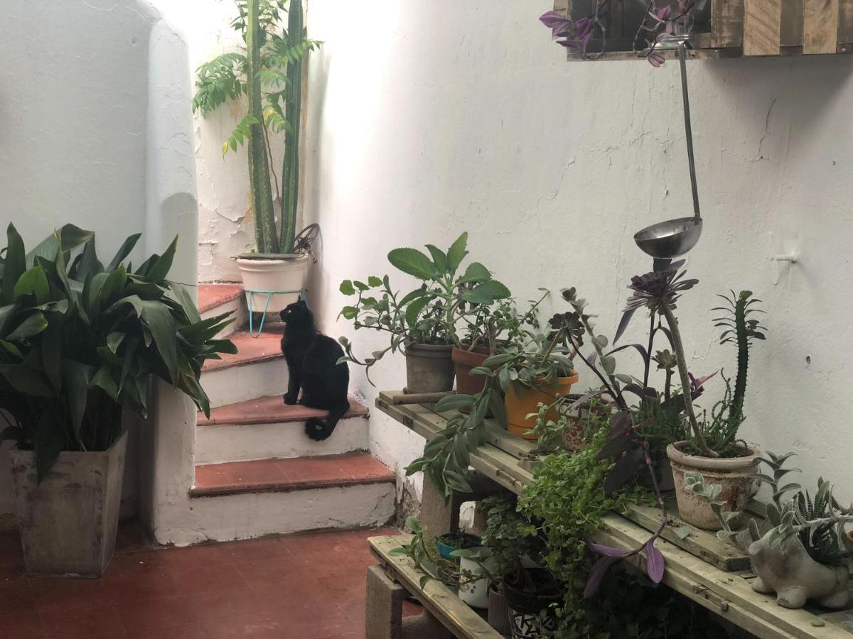 La Casa De La Chicha * Mendoza