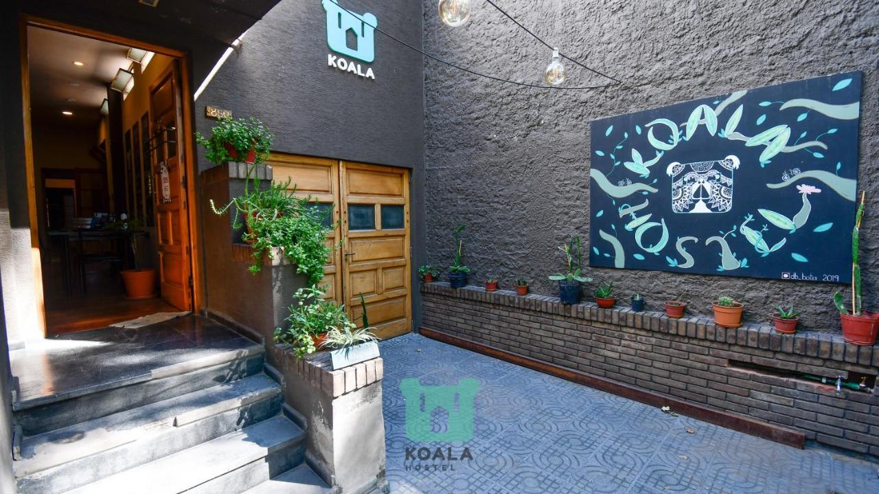 Koala Hostal