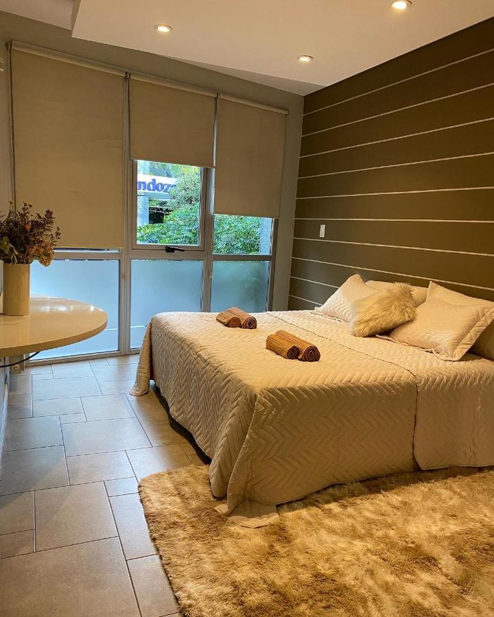 Private Idaho Apartamento Mendoza