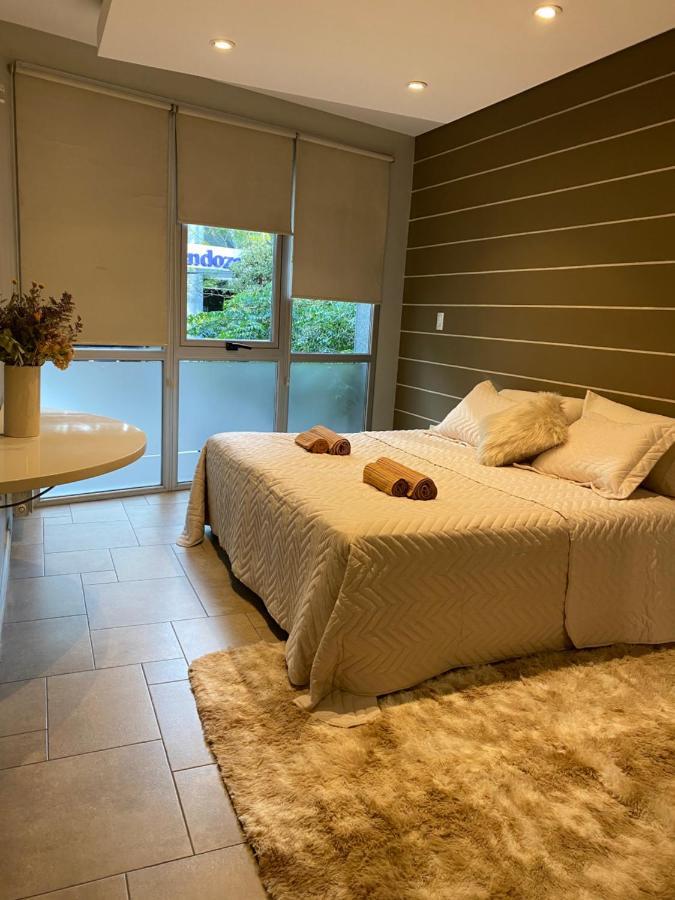 Private Idaho Apartamento Mendoza