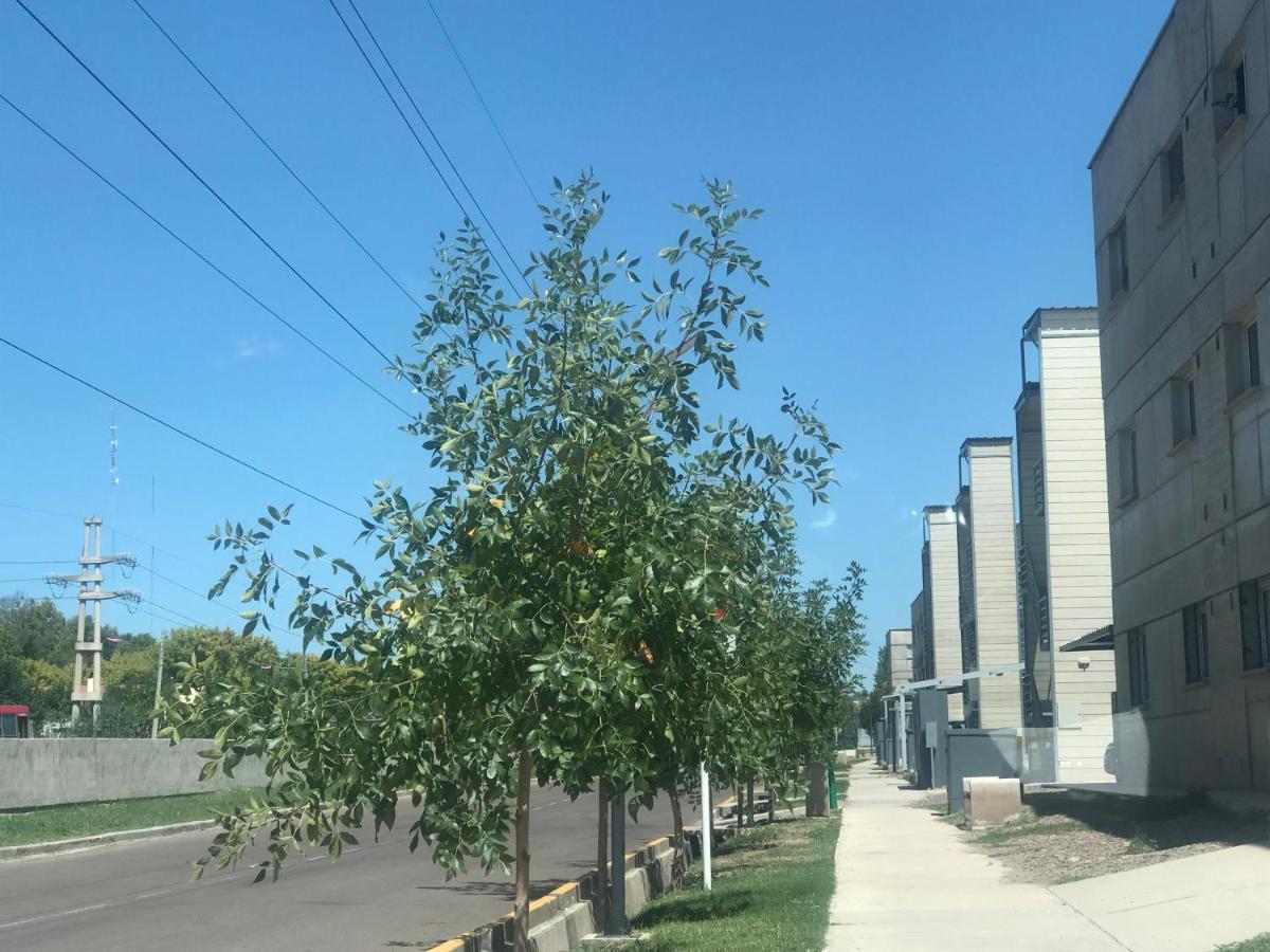 Godoy Cruz Apartamento Mendoza
