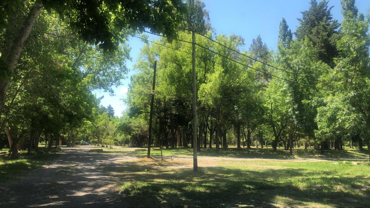 Entrepinos