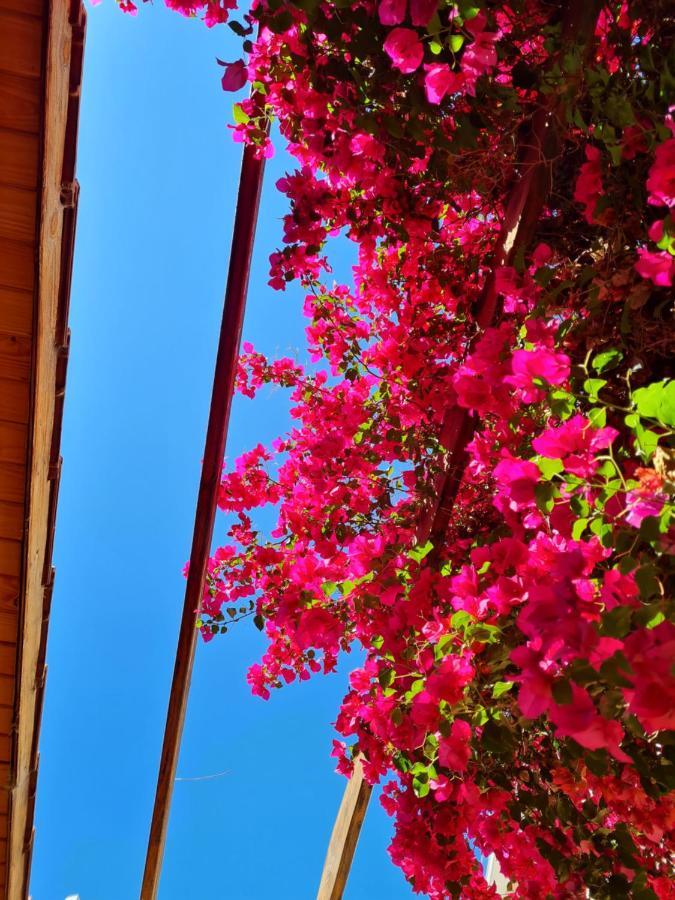 Veinticinco Сasa de vacaciones Mendoza