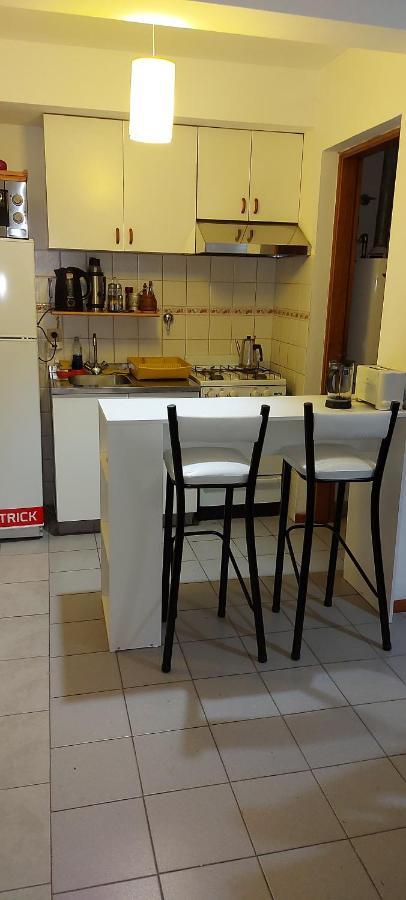 Hermoso Departamento En El Centro Mendocino Apartamento
