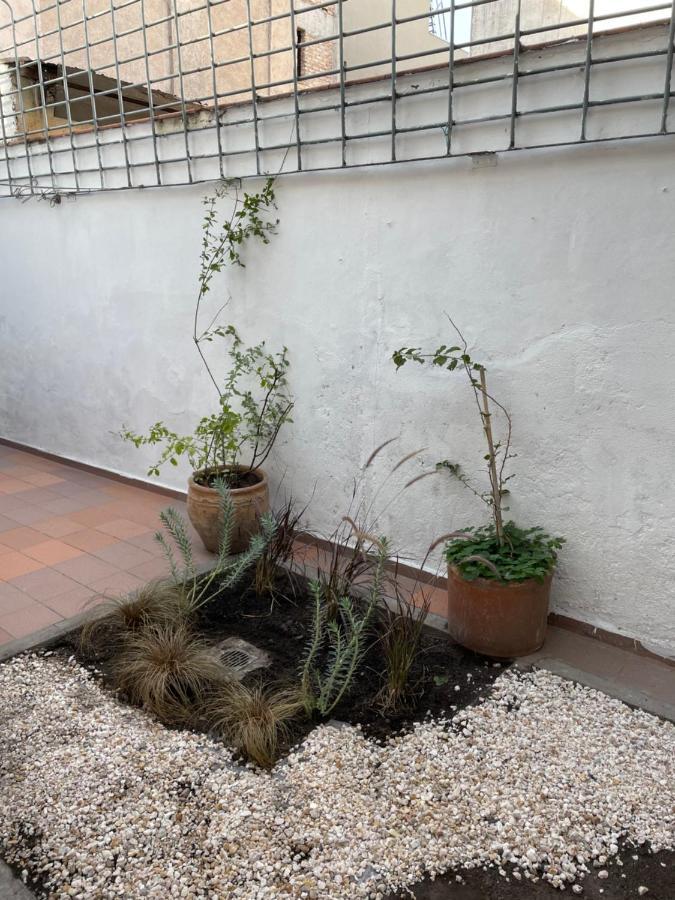 Casa Rosas En La Mejor Zona De Quinta Seccion * Mendoza