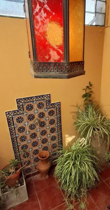 ¨las Mayólicas¨ Hermoso Depto Con Patio Español Apartamento