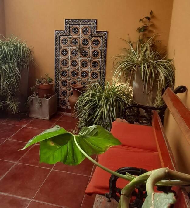 ¨las Mayólicas¨ Hermoso Depto Con Patio Español
