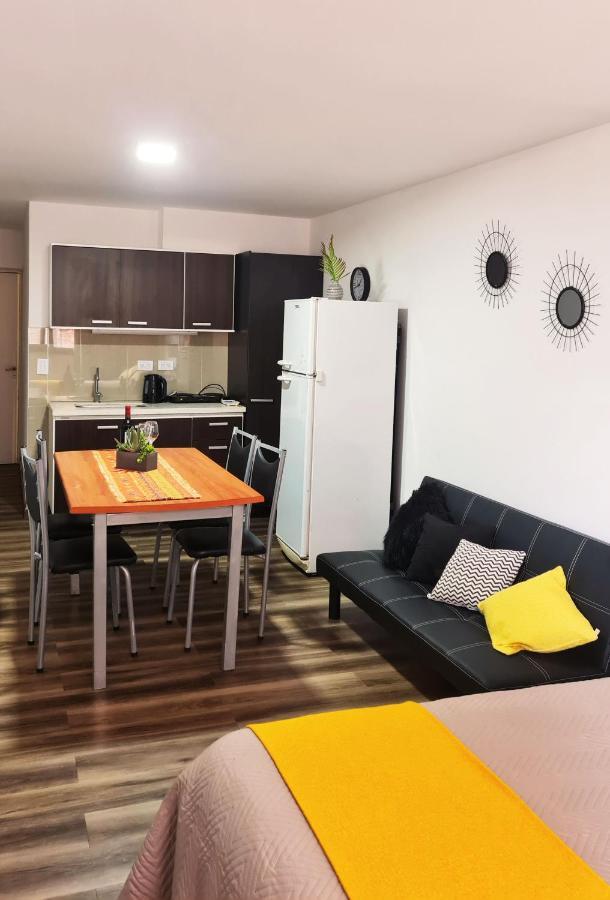 Departamento Monoambiente, A Metros De Peatonal Sarmiento *
