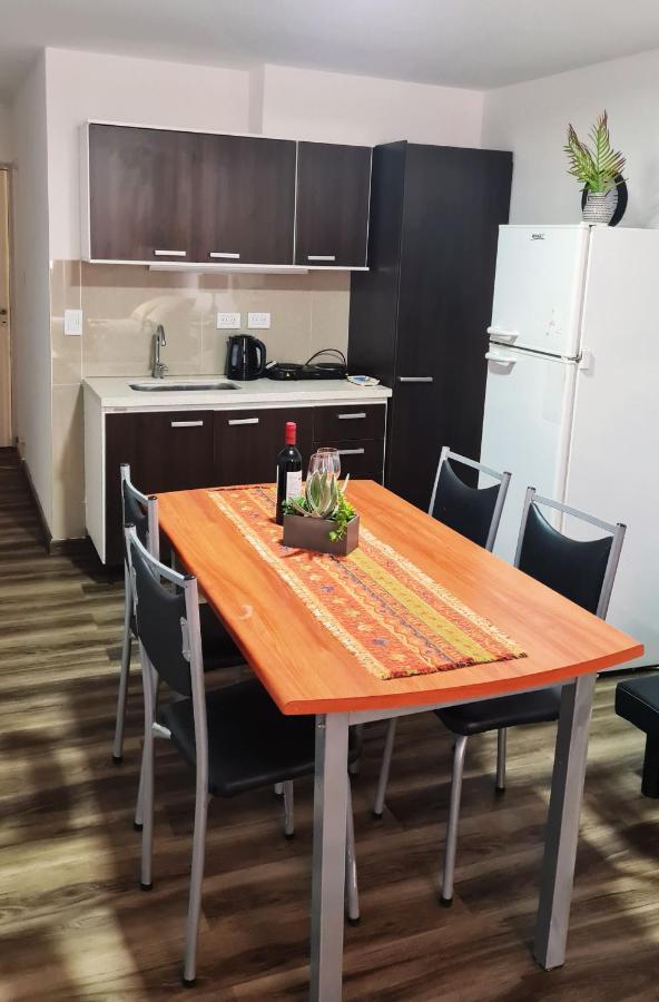 Departamento Monoambiente, A Metros De Peatonal Sarmiento Mendoza