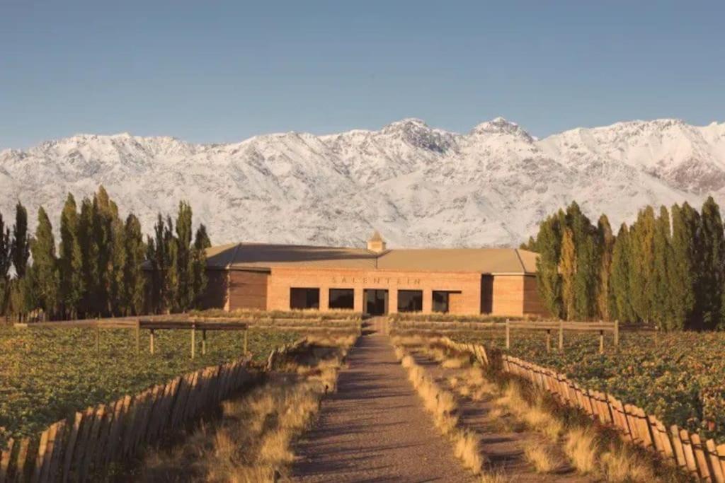 Moderno Y Tranquilo Departamento En 6ta Seccion Mendoza