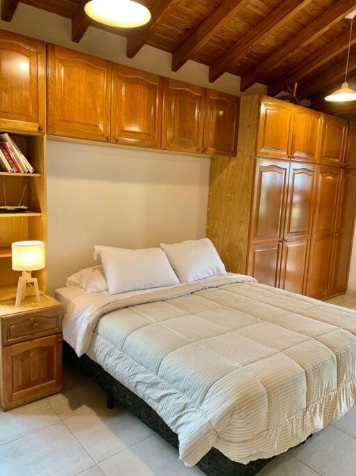 Loft Privado Cerca Parque Apartamento Mendoza
