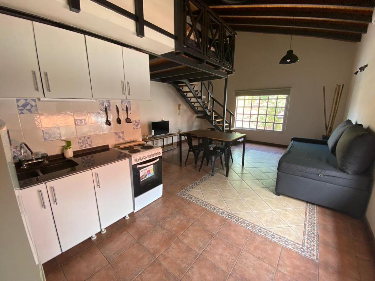 Luxury Loft Apartment Mendoza