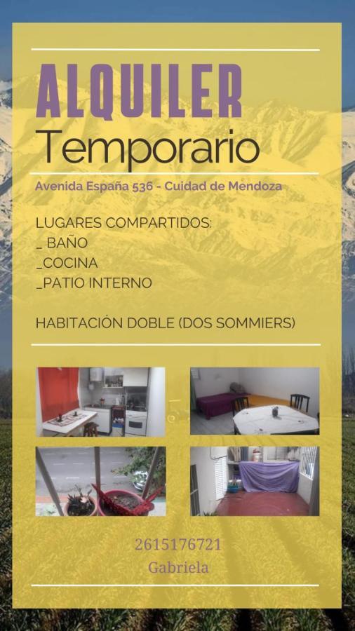 Renova Tu Energia En Mendoza