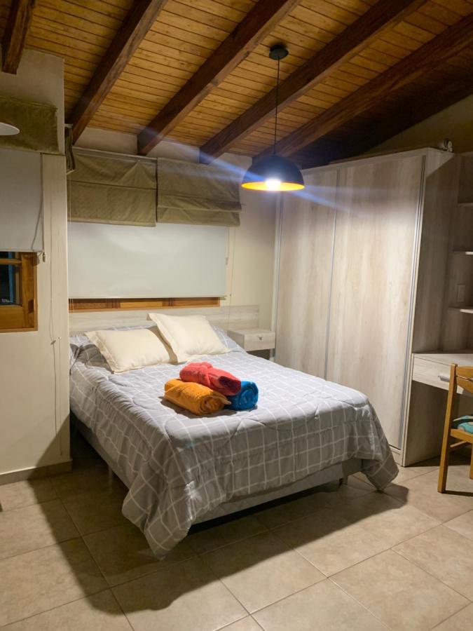 Apartamento Amplio Departamento Monoambiente A Metros Del Parque General San Martin Mendoza