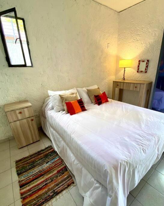 Duplex Con Terraza Y Cochera Para Auto, No Camioneta! Apartamento *
