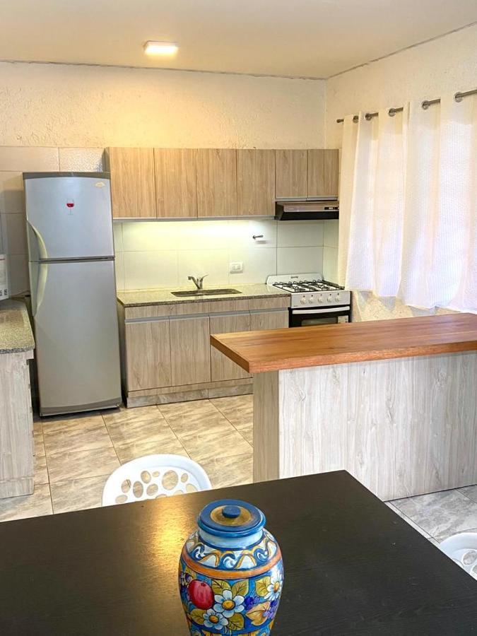 Duplex Con Terraza Y Cochera Para Auto, No Camioneta! Apartamento Mendoza