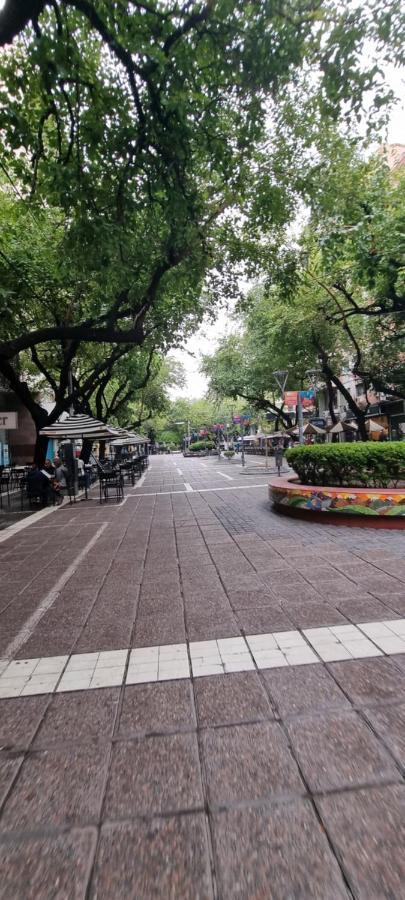 Peatonal Vista * Mendoza